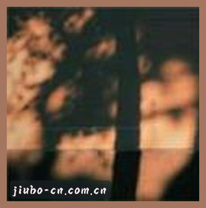 吴婷