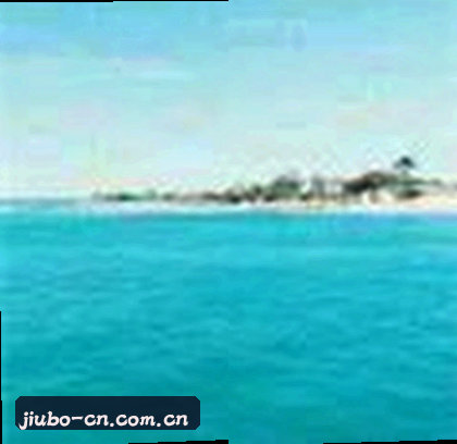 张浩